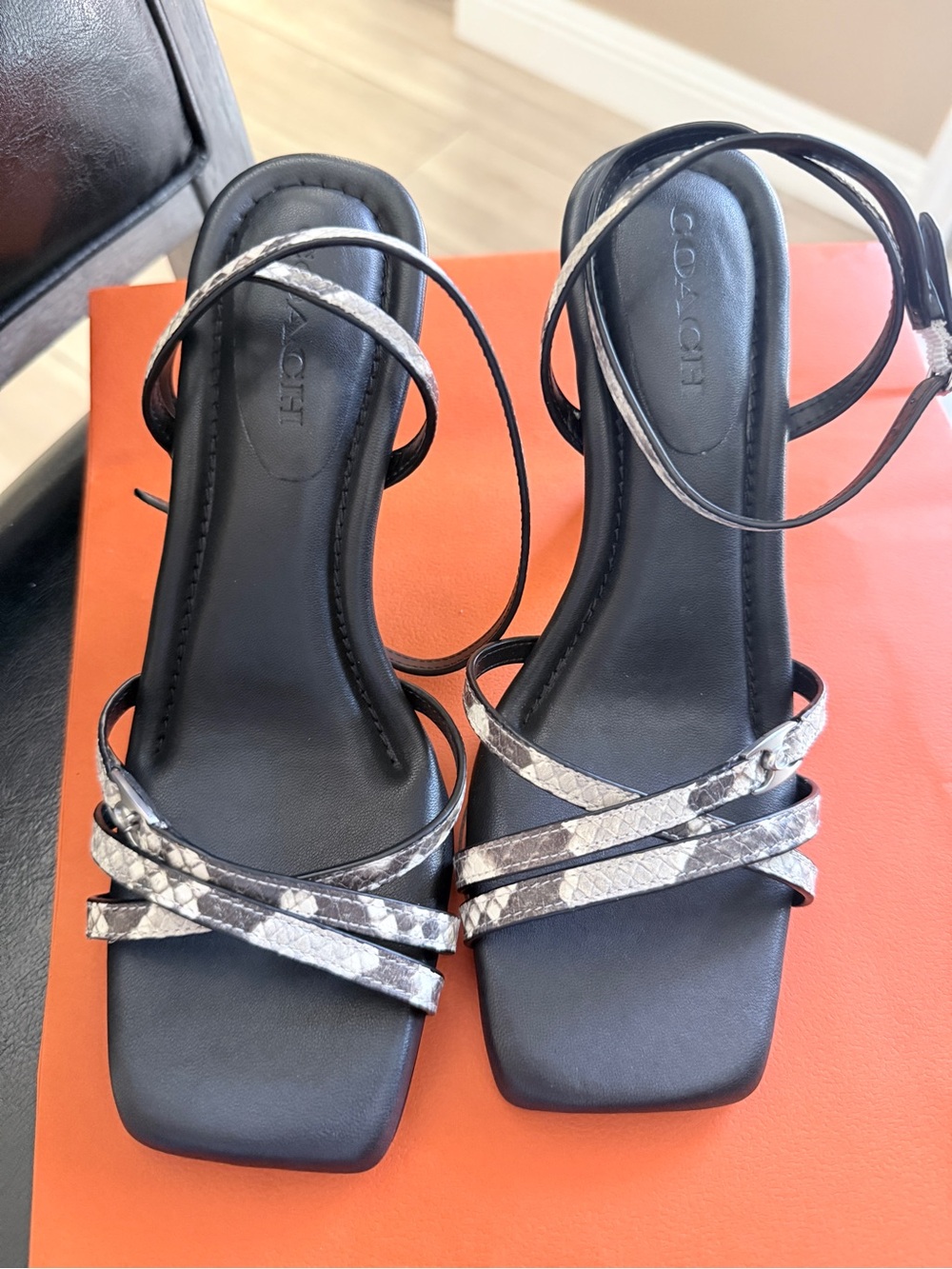 Coach Black Sandal with Silver Snake-Print Straps